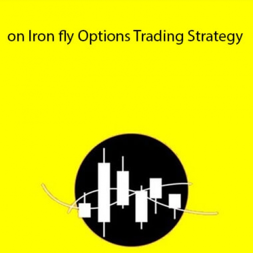 https://learnapps.net/masterclass-on-iron-fly-options-trading-strategy